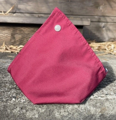 Triangular Snap Bags