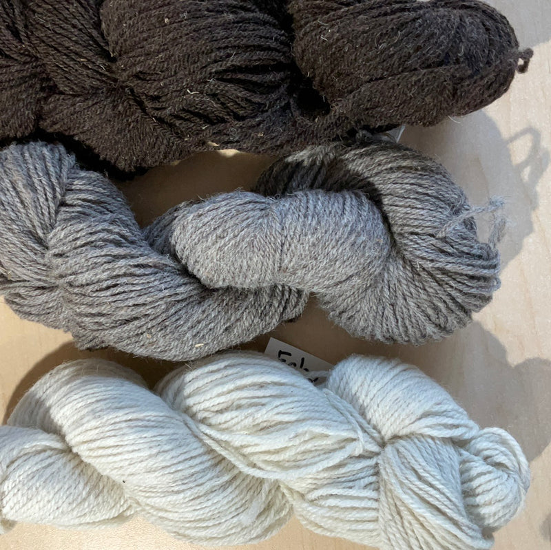 Echo Valley Jacob Sheep Yarn and Fleece
